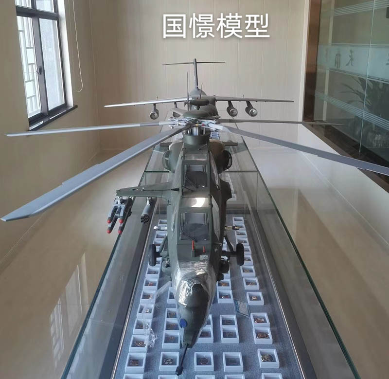 邱县飞机模型
