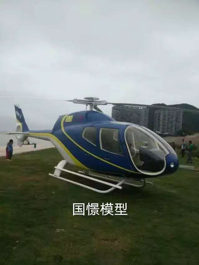 邱县飞机模型